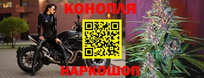 Альфа ПВП Комсомольск-на-Амуре