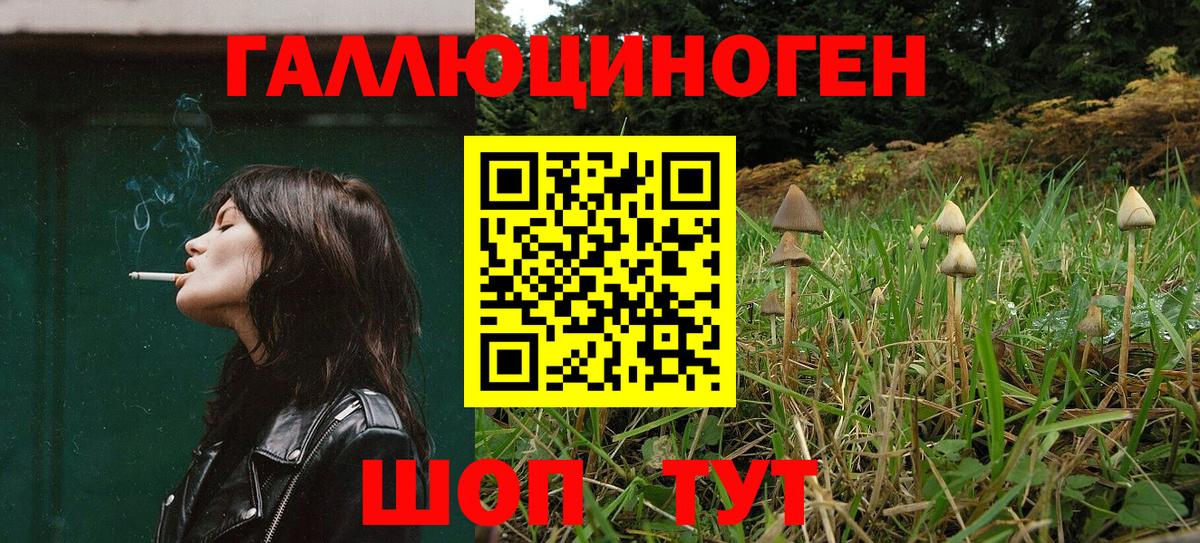Псилоцибиновые грибы Psilocybe Гагарин