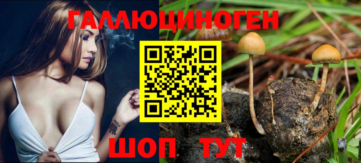 Гагарин  Галлюциногенные грибы Cubensis  Вход с VPN  Галлюциногенные грибы мицелий 